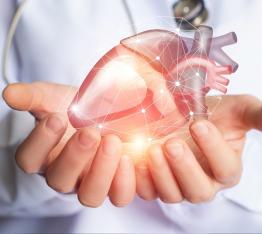 أمراض القلب والأوعية الدموية